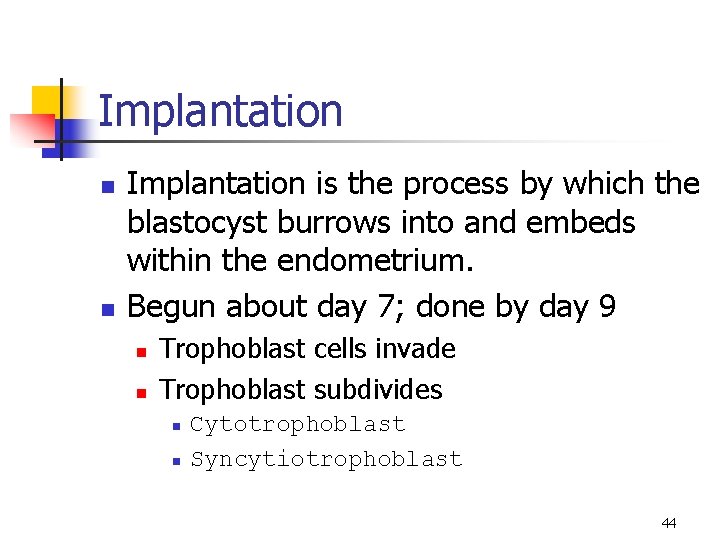 Implantation n n Implantation is the process by which the blastocyst burrows into and