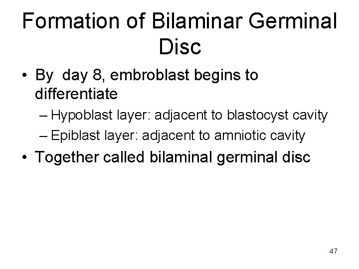 Formation of Bilaminar Germinal Disc • By day 8, embroblast begins to differentiate –