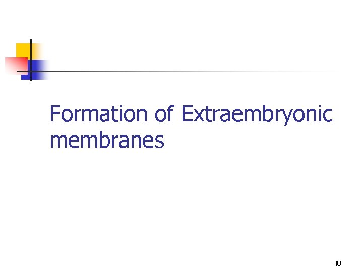 Formation of Extraembryonic membranes 48 