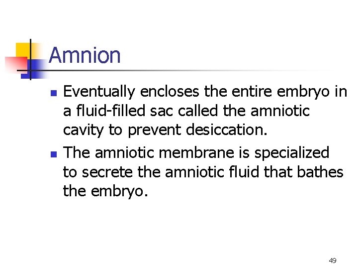 Amnion n n Eventually encloses the entire embryo in a fluid-filled sac called the