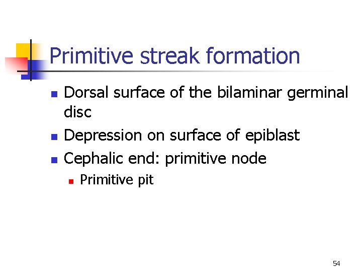 Primitive streak formation n Dorsal surface of the bilaminar germinal disc Depression on surface