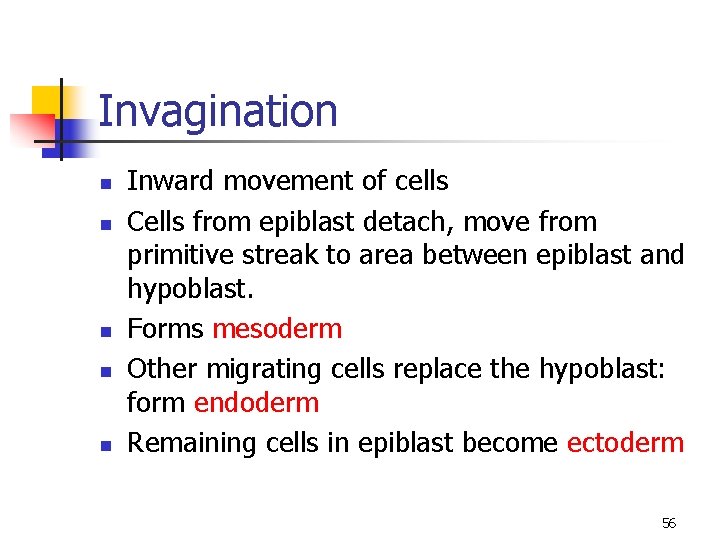 Invagination n n Inward movement of cells Cells from epiblast detach, move from primitive