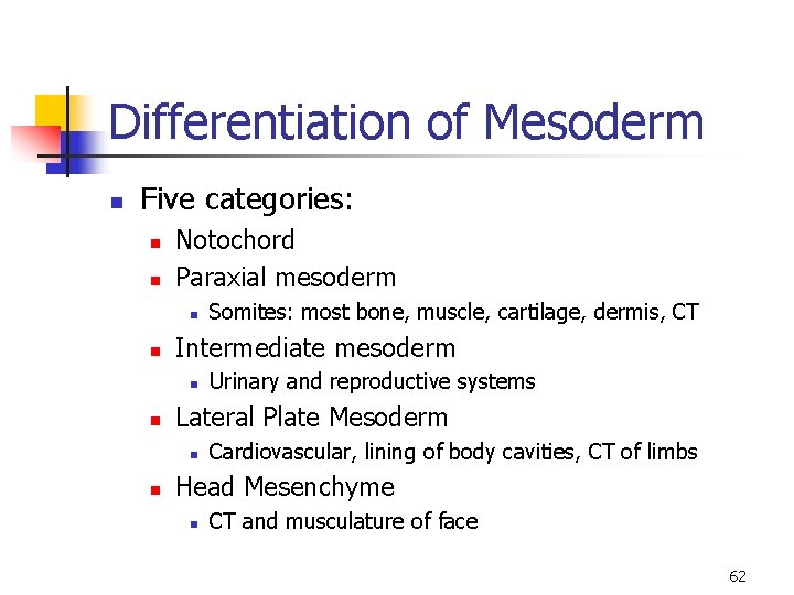 Differentiation of Mesoderm n Five categories: n n Notochord Paraxial mesoderm n n Intermediate