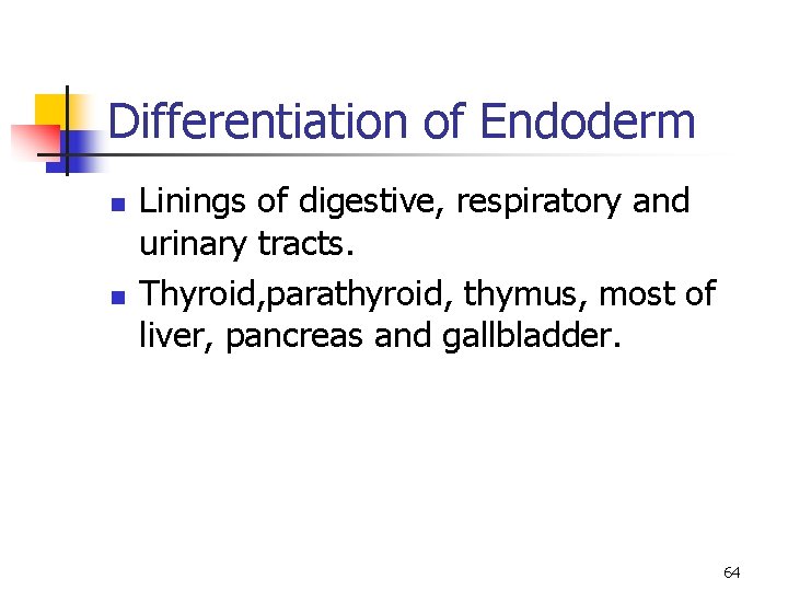 Differentiation of Endoderm n n Linings of digestive, respiratory and urinary tracts. Thyroid, parathyroid,