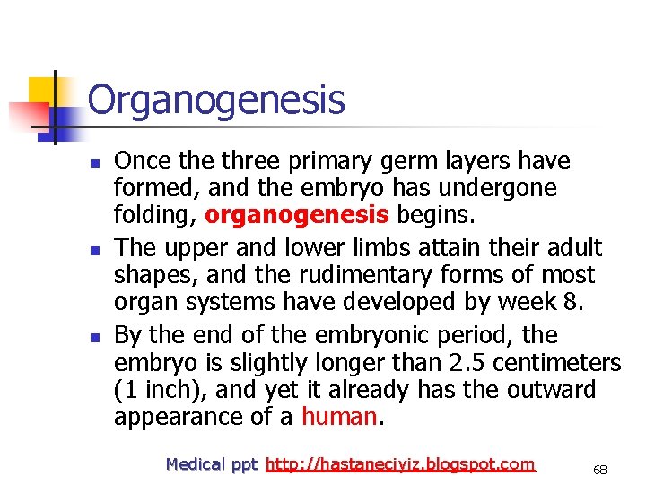 Organogenesis n n n Once three primary germ layers have formed, and the embryo