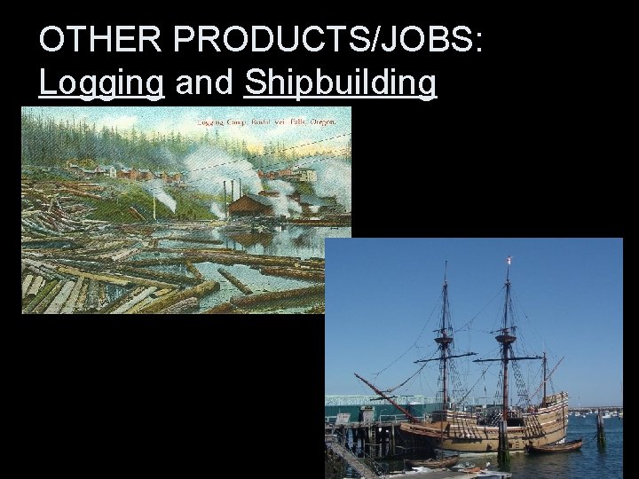 OTHER PRODUCTS/JOBS: Logging and Shipbuilding 