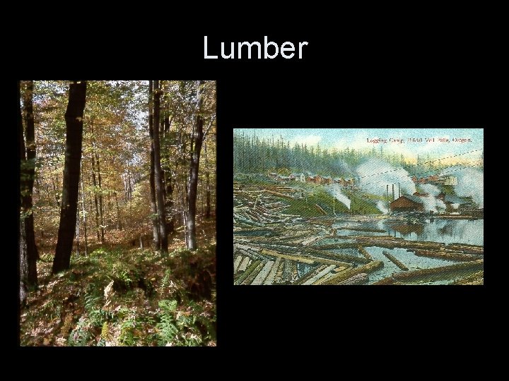 Lumber 