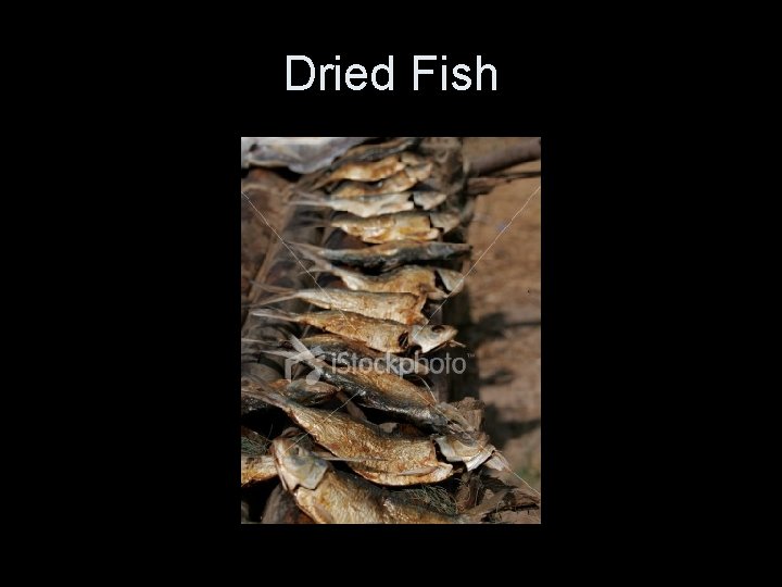 Dried Fish 