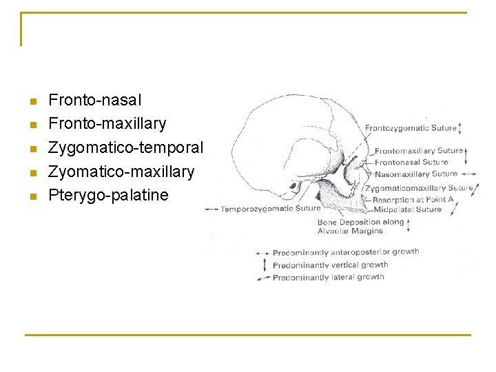 n n n Fronto-nasal Fronto-maxillary Zygomatico-temporal Zyomatico-maxillary Pterygo-palatine 