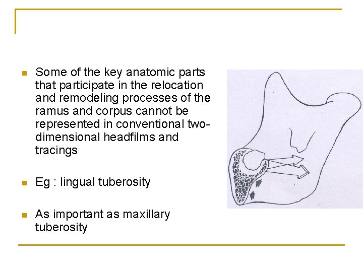 n Some of the key anatomic parts that participate in the relocation and remodeling