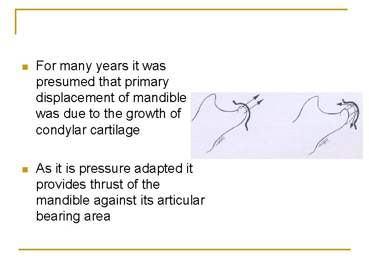 n For many years it was presumed that primary displacement of mandible was due