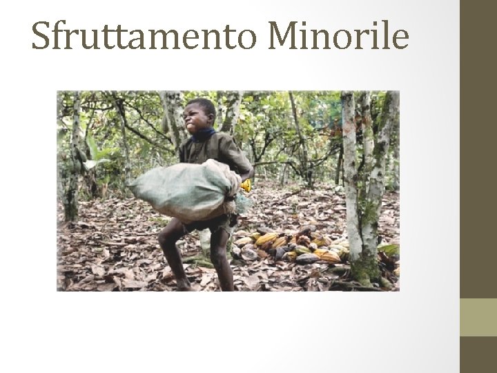 Sfruttamento Minorile 