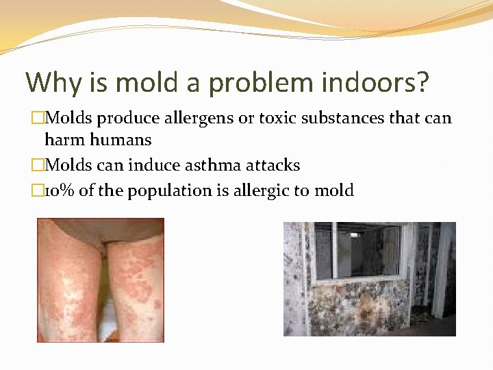 Why is mold a problem indoors? �Molds produce allergens or toxic substances that can