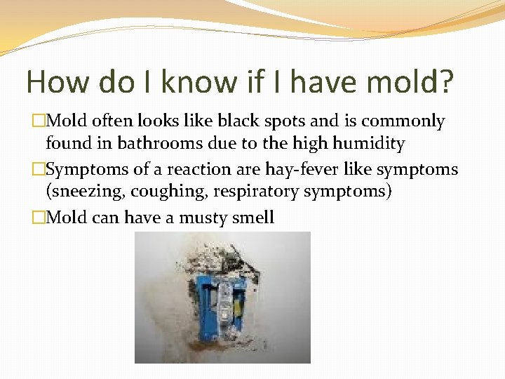 How do I know if I have mold? �Mold often looks like black spots