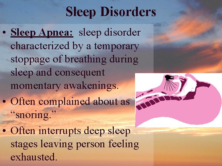 Sleep Disorders • Sleep Apnea: sleep disorder characterized by a temporary stoppage of breathing Sleep Disorders • Sleep Apnea: sleep disorder characterized by a temporary stoppage of breathing