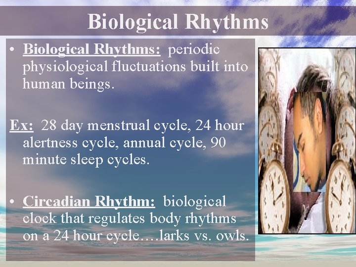 Biological Rhythms • Biological Rhythms: periodic physiological fluctuations built into human beings. Ex: 28 Biological Rhythms • Biological Rhythms: periodic physiological fluctuations built into human beings. Ex: 28
