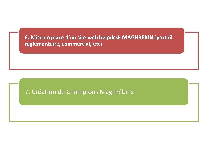 6. Mise en place d’un site web helpdesk MAGHREBIN (portail règlementaire, commercial, etc) 7.