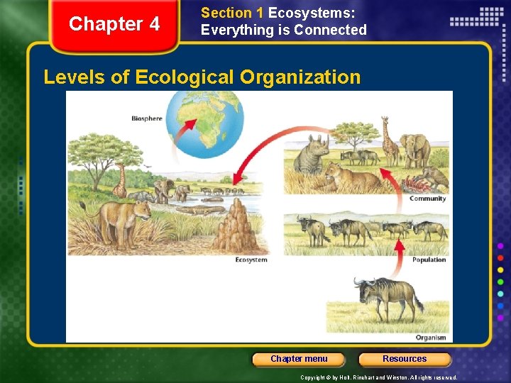 Chapter 4 Section 1 Ecosystems: Everything is Connected Levels of Ecological Organization Chapter menu