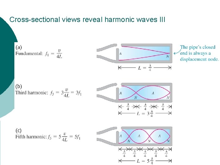 Cross-sectional views reveal harmonic waves III 