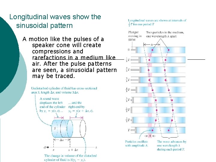 Longitudinal waves show the sinusoidal pattern A motion like the pulses of a speaker