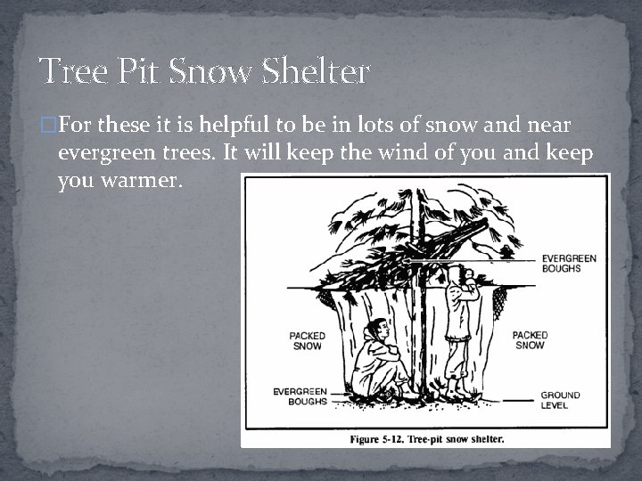 Tree Pit Snow Shelter �For these it is helpful to be in lots of