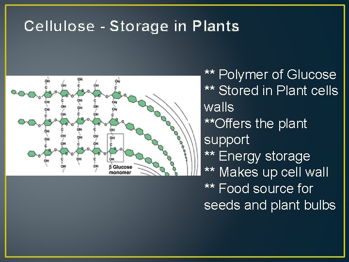 Cellulose - Storage in Plants ** Polymer of Glucose ** Stored in Plant cells