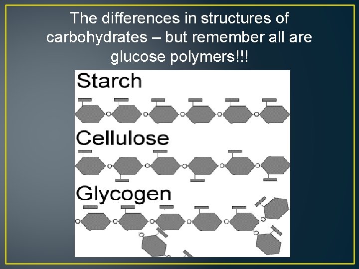 The differences in structures of carbohydrates – but remember all are glucose polymers!!! 