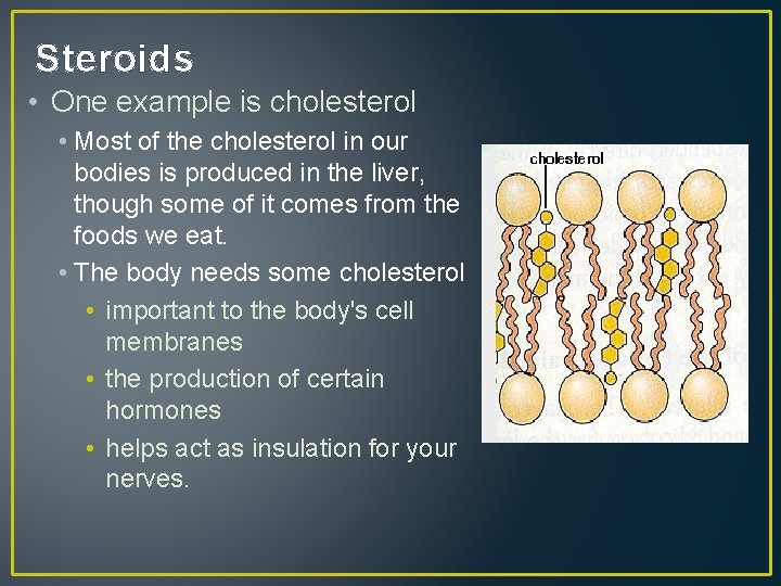 Steroids • One example is cholesterol • Most of the cholesterol in our bodies