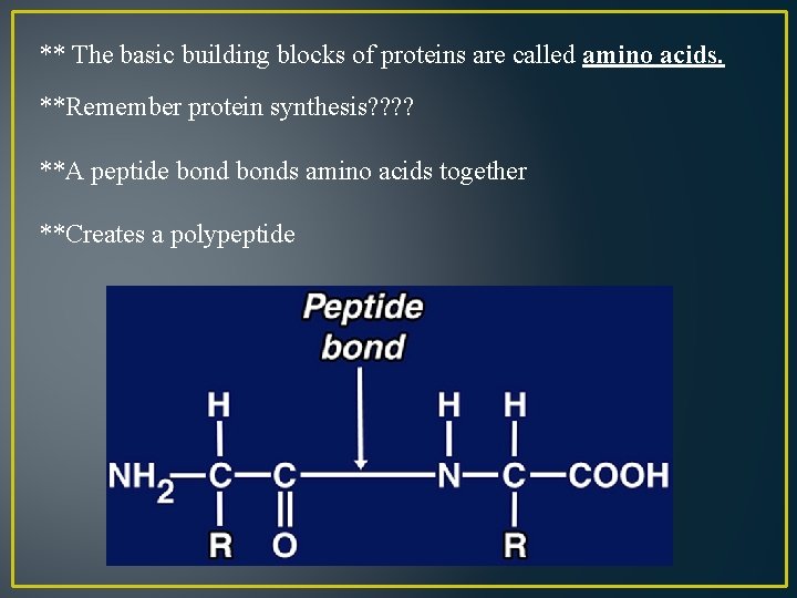 ** The basic building blocks of proteins are called amino acids. **Remember protein synthesis?