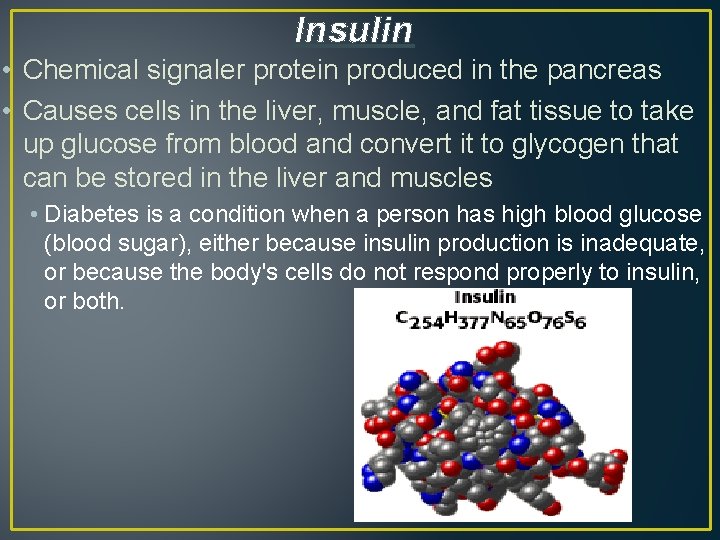Insulin • Chemical signaler protein produced in the pancreas • Causes cells in the