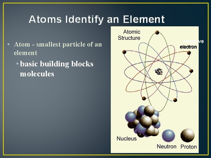 Atoms Identify an Element • Atom - smallest particle of an element • basic