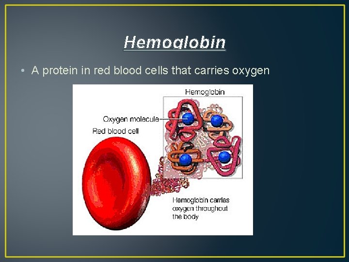 Hemoglobin • A protein in red blood cells that carries oxygen 