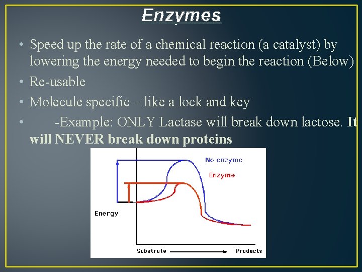 Enzymes • Speed up the rate of a chemical reaction (a catalyst) by lowering