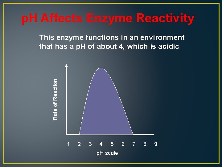 p. H Affects Enzyme Reactivity Rate of Reaction This enzyme functions in an environment