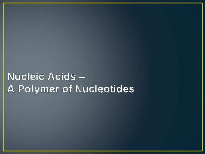 Nucleic Acids – A Polymer of Nucleotides 