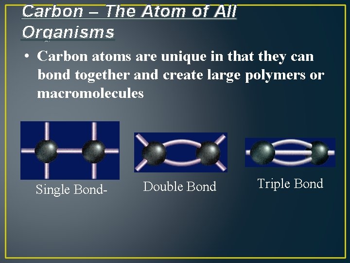 Carbon – The Atom of All Organisms • Carbon atoms are unique in that