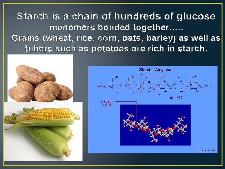Starch is a chain of hundreds of glucose monomers bonded together…. . Grains (wheat,