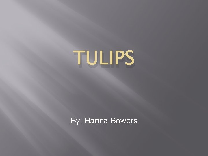 TULIPS By: Hanna Bowers 