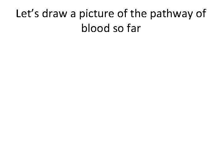 Let’s draw a picture of the pathway of blood so far 