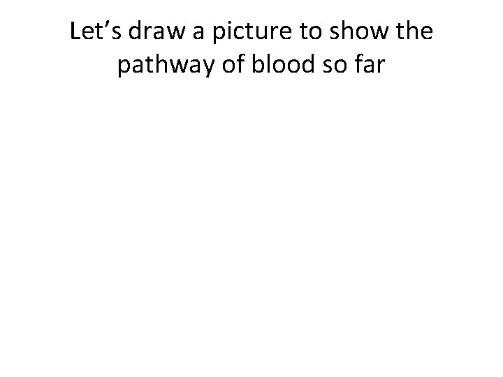 Let’s draw a picture to show the pathway of blood so far 