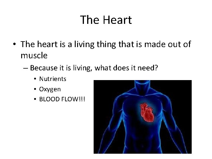 The Heart • The heart is a living that is made out of muscle