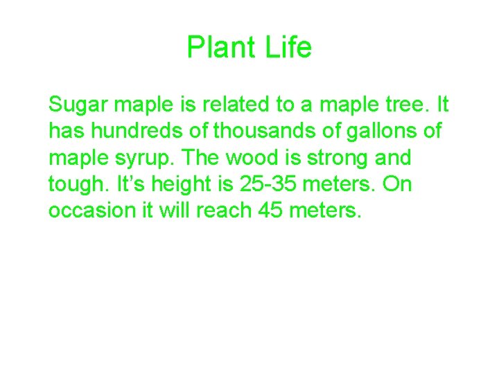 Plant Life Sugar maple is related to a maple tree. It has hundreds of