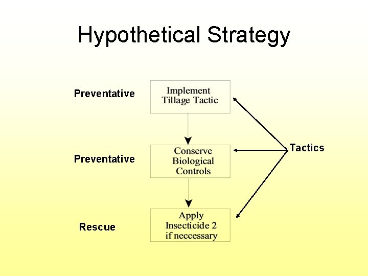 Hypothetical Strategy Preventative Rescue Tactics 