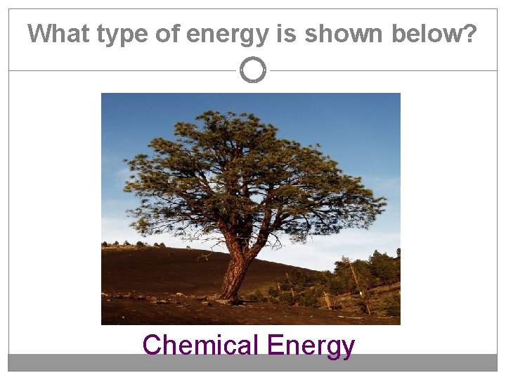 What type of energy is shown below? Chemical Energy 