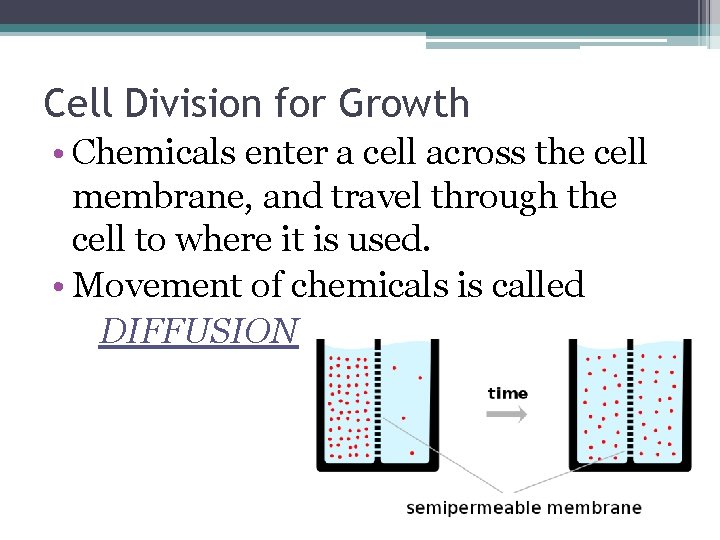 Cell Division for Growth • Chemicals enter a cell across the cell membrane, and Cell Division for Growth • Chemicals enter a cell across the cell membrane, and