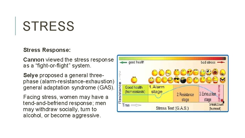 STRESS Stress Response: Cannon viewed the stress response as a “fight-or-flight” system. Selye proposed