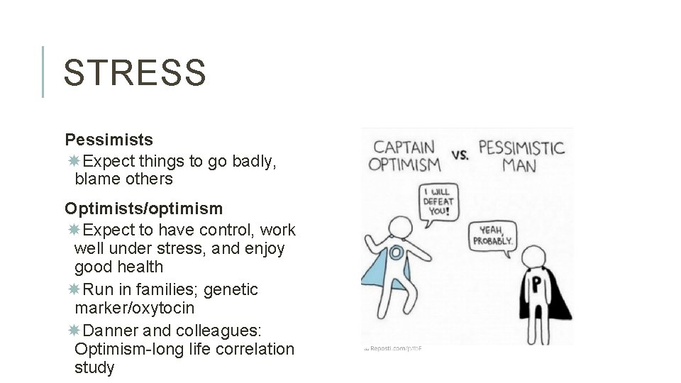 STRESS Pessimists Expect things to go badly, blame others Optimists/optimism Expect to have control,