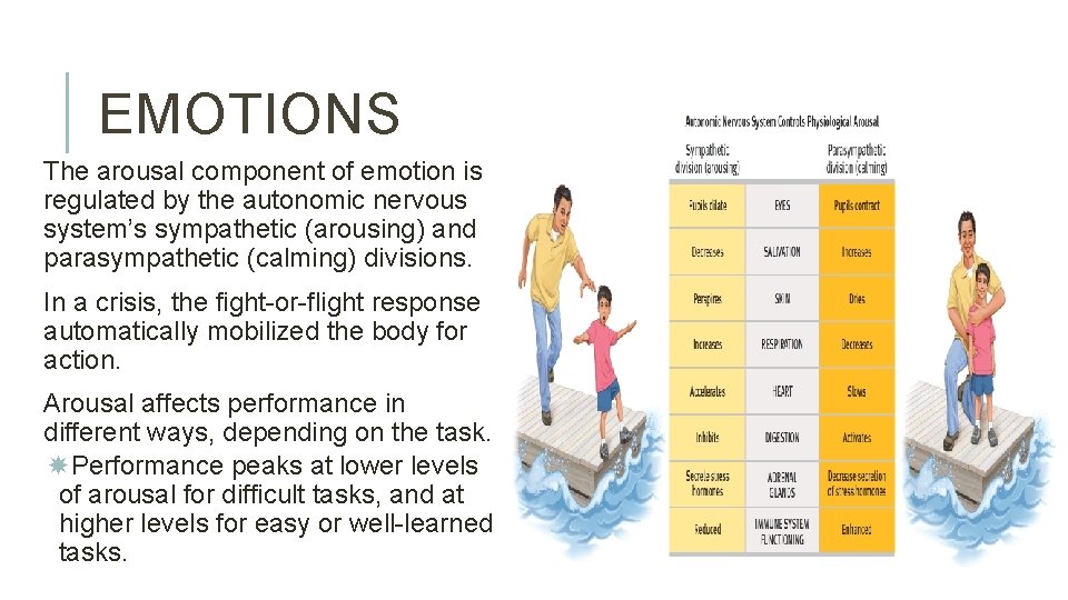 EMOTIONS The arousal component of emotion is regulated by the autonomic nervous system’s sympathetic