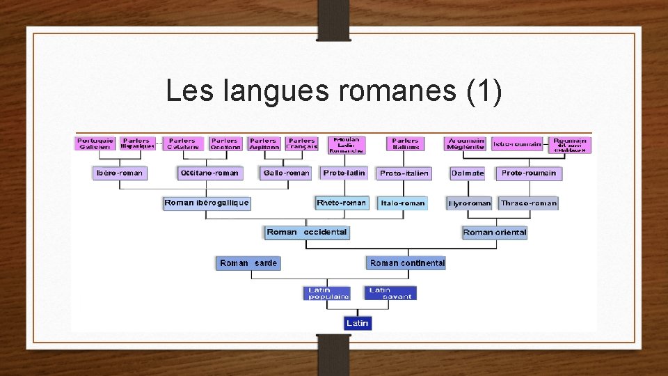 Les langues romanes (1) 