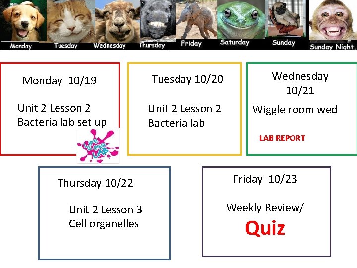 Monday 10/19 Tuesday 10/20 Unit 2 Lesson 2 Bacteria lab set up Unit 2